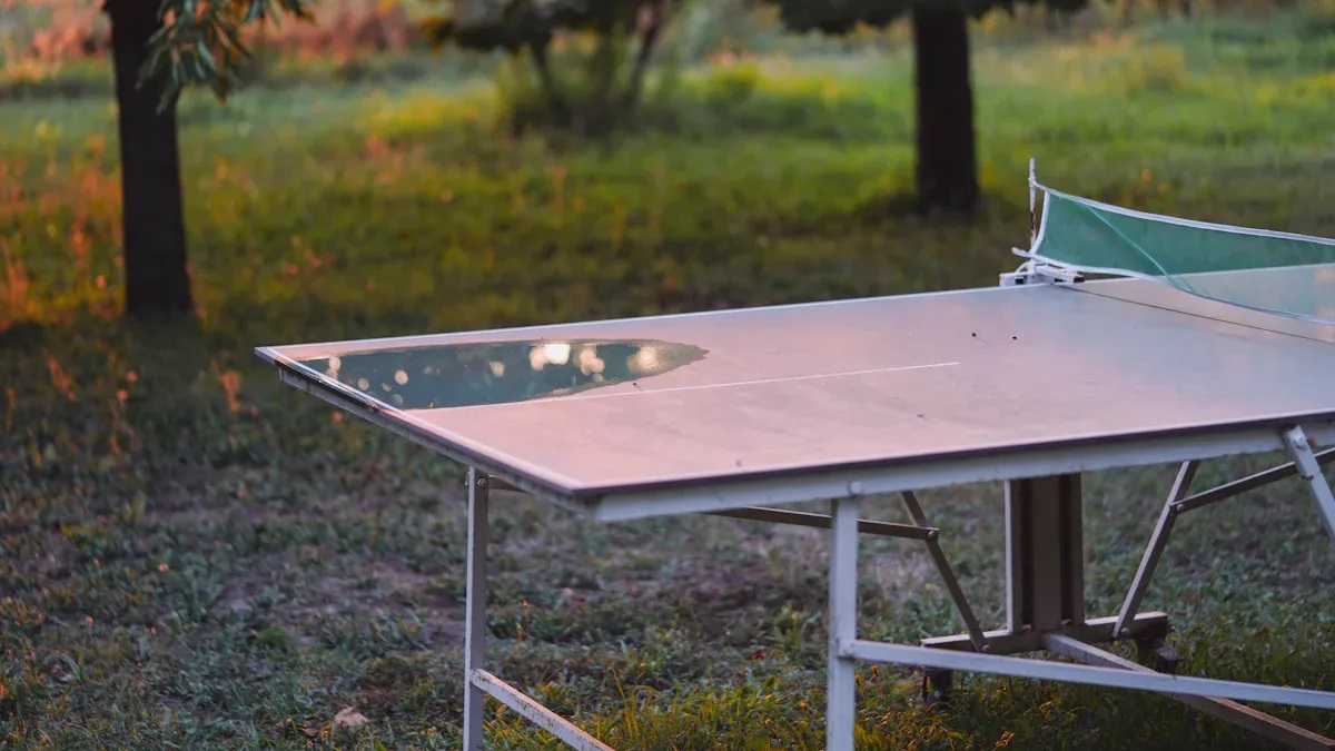 Table Tennis Table Table Tennis Table