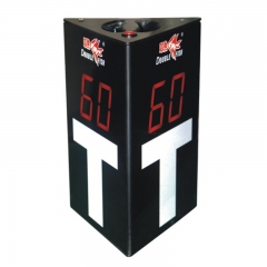 Double Fish Electronic Pause Card